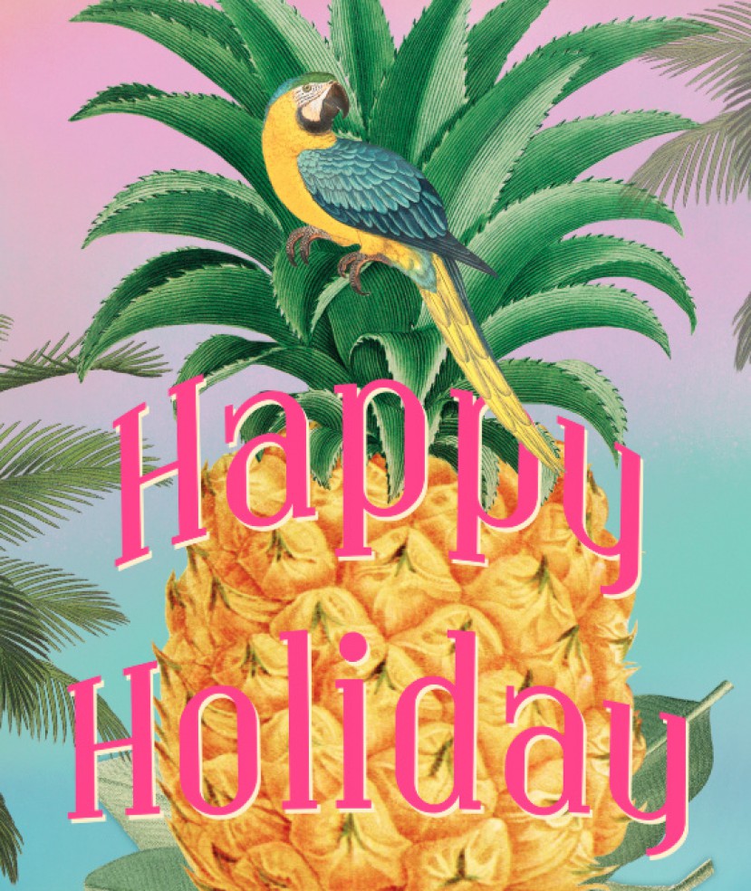 ananas happy holiday 